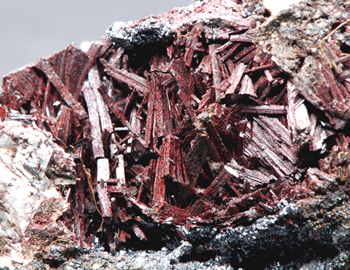 Piemontite - Praborna Mine, Saint Marcel, Aosta Valley - Italy