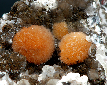 Ferrierite - Monte Olladri, by Monastir, Province of Cagliari - Sardegna - Italy