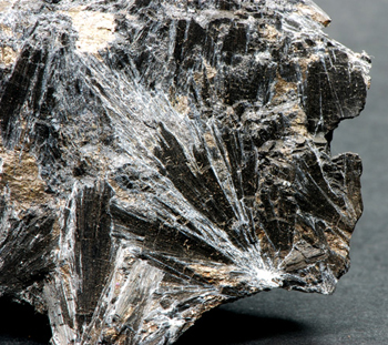 Ludwigite - Brosso Mine, Salvere level, Lessolo, Province of Torino, Piedmont, Italy