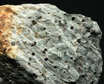 Ottrelite - Ottr, Vielsalm, Stavelot Massif, Luxembourg Province, Belgium