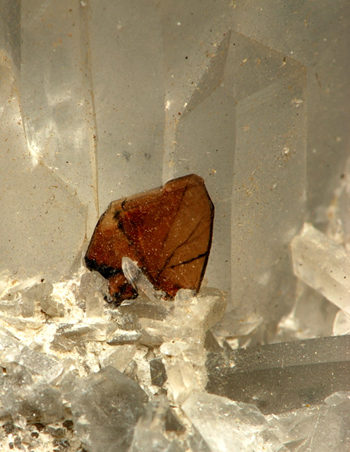 Brookite on Quartz - Pizzo Lucendro, St. Gotthard Massif, Leventina, Ticino, Switzerland