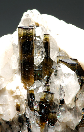 Elbaite - Filone Speranza, San Piero in Campo, Isola d'Elba - Italy