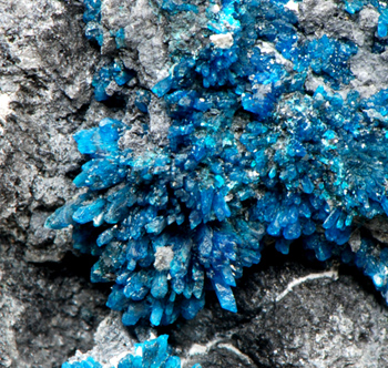 Chalcomenite - Baccu Locci Mine, Villaputzu, Cagliari Province, Sardegna, Italy