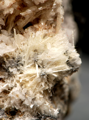 Korobitsynite - Alluaiv Mt, Lovozero Massif, Kola Peninsula, Russia