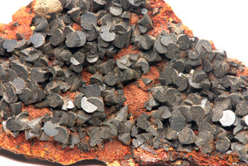 Cronstedtite - Baia Mare (Nagyb�nya), Maramures Co., Romania