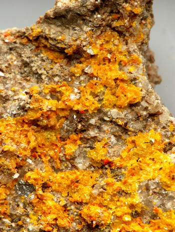 Uzonite - Lăzăreşti, Harghita Co., Romania