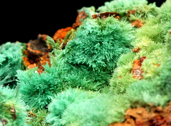 Olivenite - Christiana Mine, Kamariza Mines, Agios Konstantinos, Lavrion District, Attik� Prefecture, Greece
