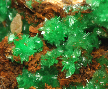 Annabergite - Km-3 Mine, Lavrion, Attik� Prefecture, Greece