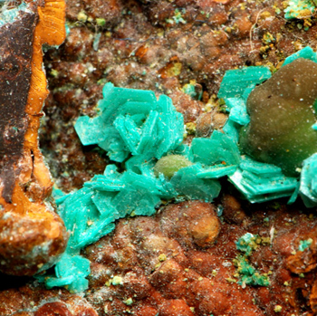 Chalcophyllite - Salsigne mine, Mas-Cabard�s, Carcassonne, Aude, Languedoc-Roussillon, France