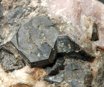 Steenstrupine-(Ce) - Igdlunguaq, Tunugdliarfik Firth, Ilimaussaq complex, Narsaq, Greenland