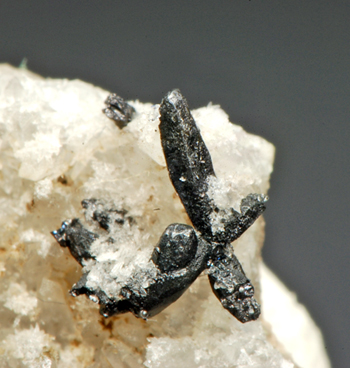 Hessite - Bot�s, Alba Co., Romania