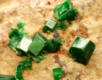 Torbernite - V�nachat, Compreignac, Haute-Vienne, Limousin, France