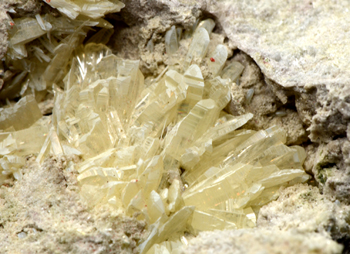 Valentinite - Le Cetine di Cotorniano Mine, Chiusdino, Siena Province, Tuscany, Italy