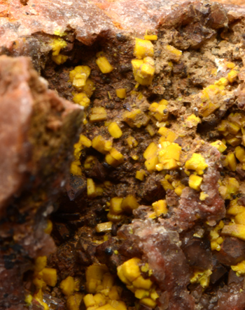 Soddyite - Swambo, Katanga, Democratic Republic of Congo