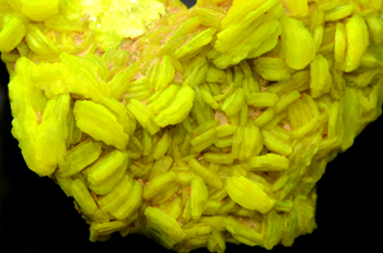 Autunite - Margnac II Mine, Compreignac, Haute-Vienne, Limousin, France
