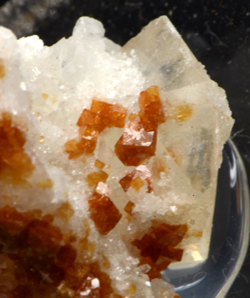 Svanbergite - Mount Brussilof mine (Bay Mag Mine),  Radium Hot Springs, Golden Mining Division,  British Columbia,  Canada