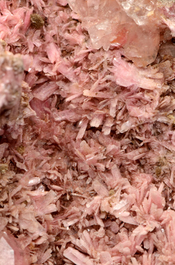 Rhodonite - Gambatesa Mine, Graveglia Valley, Genova Province, Liguria, Italy