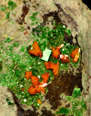 Kasolite and Torbernite - Musonoi Mine, Kolwezi, Katanga, Zare