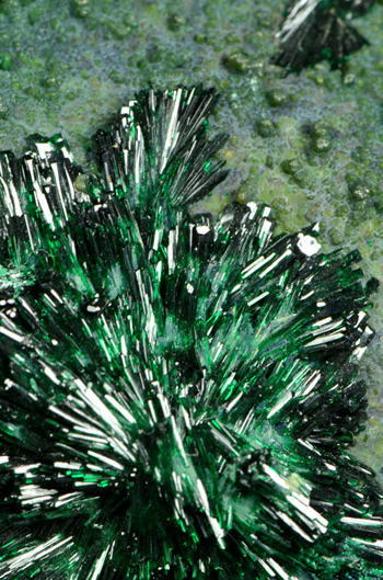 Atacamite - La Farola Mine, Cerro Pintado, Tierra Amarilla, Copiap Province, Atacama Region, Chile