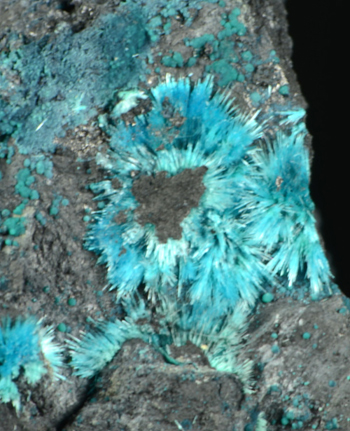 Serpierite - Baccu Locci Mine, by Villaputzu, province of Cagliari, Sardegna, Italy