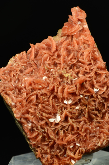 Rhodonite - Gambatesa Mine, Graveglia Valley, Genova Province, Liguria, Italy