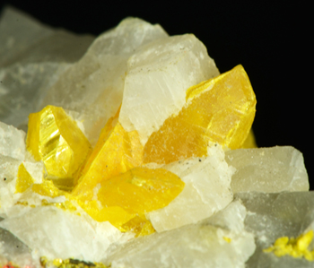 Orpiment - Matra, Mota, Corte, Corsica, France