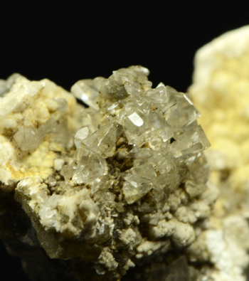 Whewellite - Burgk, Dresden, Saxony, Germany