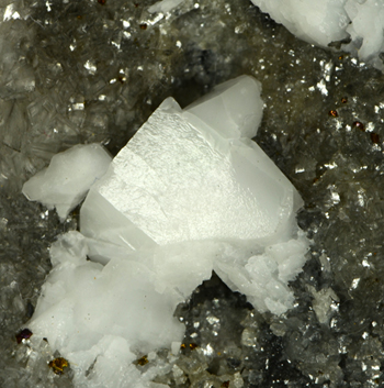 Whewellite - Burgk, Dresden, Saxony, Germany