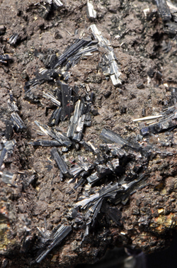 FERR1225 - Hutchinsonite - La Libertad Mine, Quiruvilca, Peru