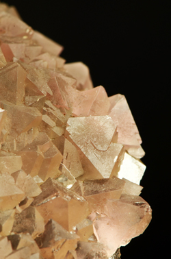 Fluorite - Aiguille Verte, Mont Blanc, Chamonix, Rhne-Alpes, France