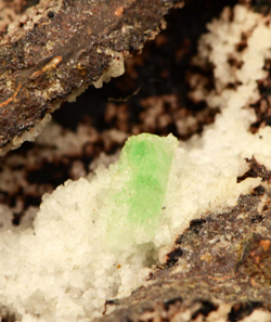 Green Anglesite - Montevecchio Mines, Arbus, Medio Campidano Province, Sardinia, Italy