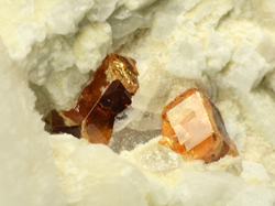 Spessartine - Filone Rosina, San Piero in Campo, Isola d'Elba, Toscana, Italia