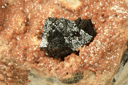 FERR1516 - Hausmannite on Andradite - N'Chwaning II Mine, Kuruman, Kalahari manganese fields, Northern Cape Province, South Africa