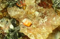 FERR1530 - Yoshimruraite - Taguchi mine, Shitara, Kitashitara County, Aichi Prefecture, Japan