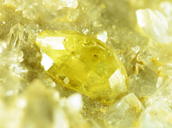 Monazite - Saint-Christophe-en-Oisans, Grenoble, Isre, Auvergne-Rhne-Alpes, France
