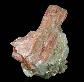 Serandite and muscovite - Poudrette quarry - Mont Saint-Hilaire, Rouville RCM - Montrgie - Qubec - Canada