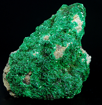 Torbernite - Musonoi mine - Kolwezi - Kolwezi distr. - Katanga Copper Crescent - Shaba -Zare