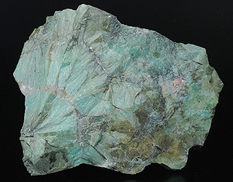 Johannsenite - Civillina Mt. - Recoaro Terme - Vicenza prov. - Veneto - Italy