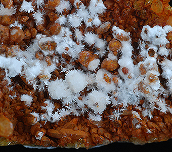 Rapidcreekite and quartz - Rapid Creek - Dawson Mining distr. - Yukon Territory - Canada