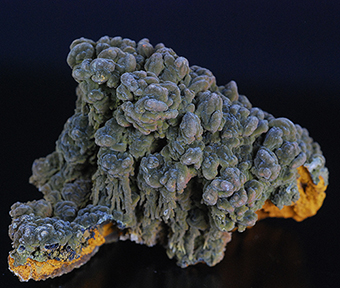 Mottramite - Ojuela mine - Mapim - Mun. de Mapim - Durango - Mexico