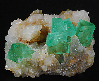 Fluorite on quartz - Riemvasmaak fluorite occurrences - Kakamas - ZF Mgcawu distr. - Northern Cape prov. - South Africa