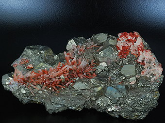 Read quartz over pyrite - Brosso mine - Clea - Lssolo - Canavese distr. - Torino prov. - Piedmont - Italy