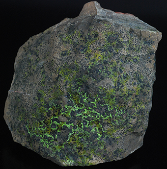 Vesignieite, cuprite and tenorite - Horn Kaln - Nov Paka - Hradec Krlov Region - Bohemia - Czech Republic