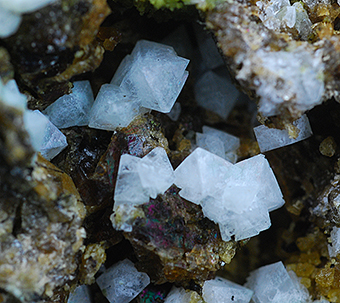 Gismondine and epidote - Vedretta della Miniera - Zebr valley - Valfurva - Valtellina -  Sondrio prov. - Lombardy - Italy