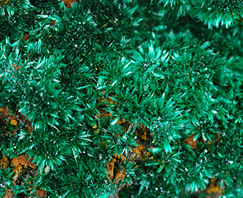 Brochantite - Aouli - Upper Moulouya lead distr. - Midelt - Khnifra prov. - Mekns-Tafilalet Region - Morocco