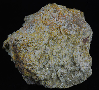 Whewellite and siderite - Blina coal mine - Blina - st Region - Bohemia - Czech Republic