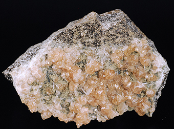 Grossular garnet - Asbestos - Les Sources RCM - Estrie - Qubec - Canada