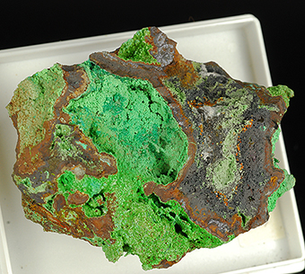 Conichalcite - Ojuela mine - Mapim - Mun. de Mapim - Durango -Mexico