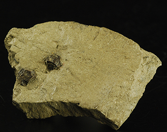 Hauerite - Jezirko Mine - Tarnobrzeg - Podkarpackie - Poland