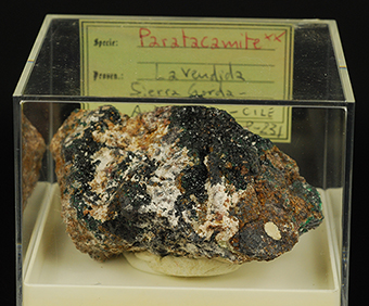 Paratacamite - La Vendida mine -Sierra Gorda -Antofagasta Prov. -Antofagasta -Chile